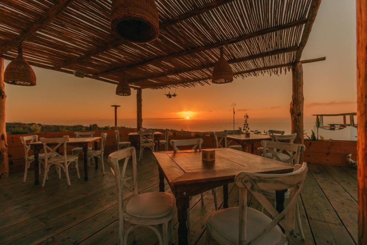 Nest Baja Hotel San Jose del Cabo Ngoại thất bức ảnh