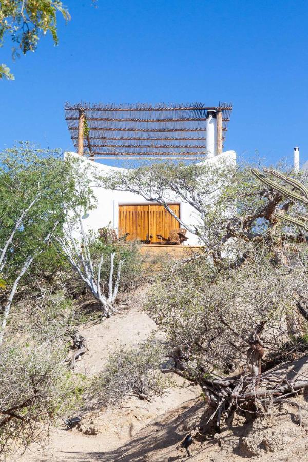 The White Lodge San Jose del Cabo Ngoại thất bức ảnh
