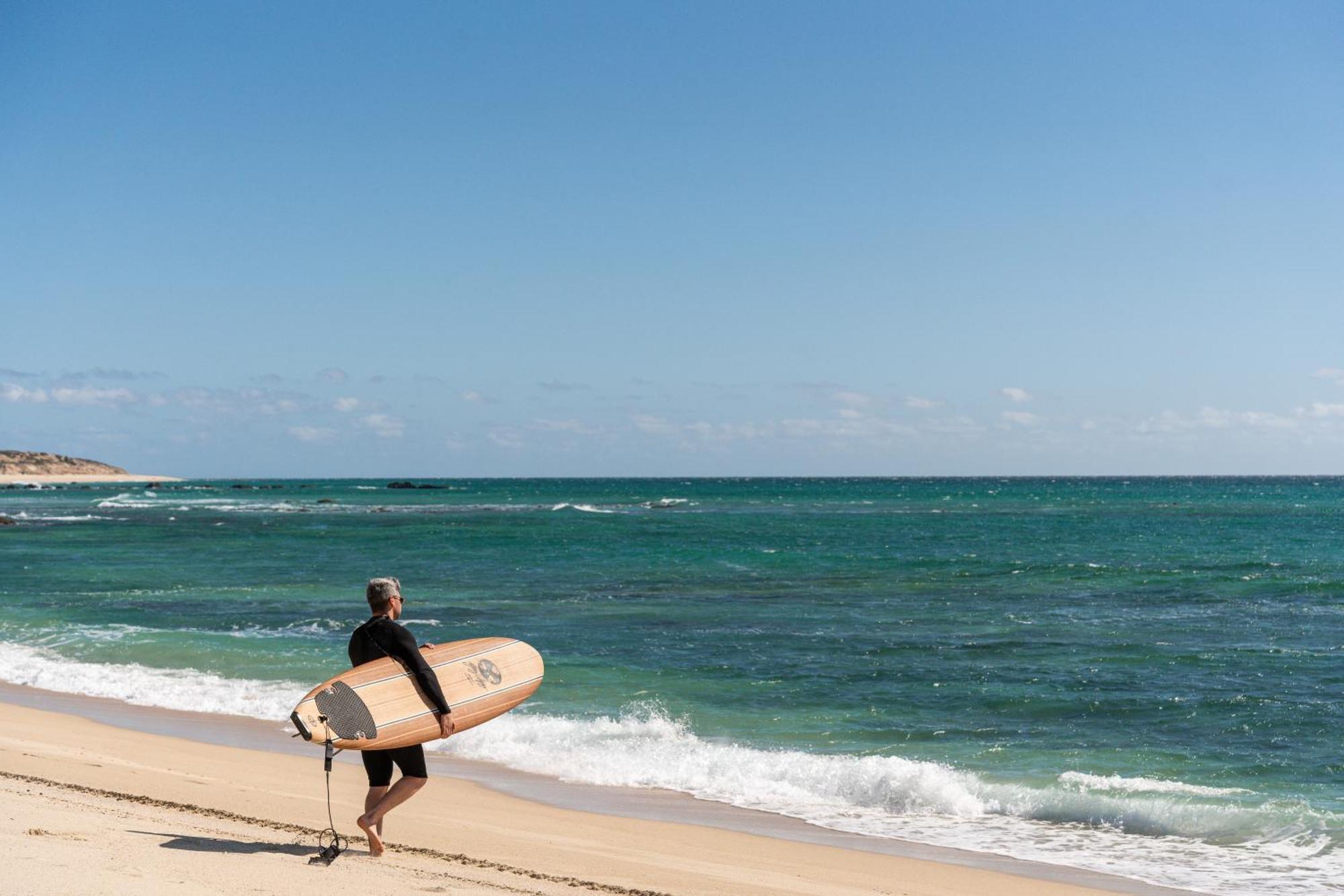 Nest Baja Hotel San Jose del Cabo Ngoại thất bức ảnh
